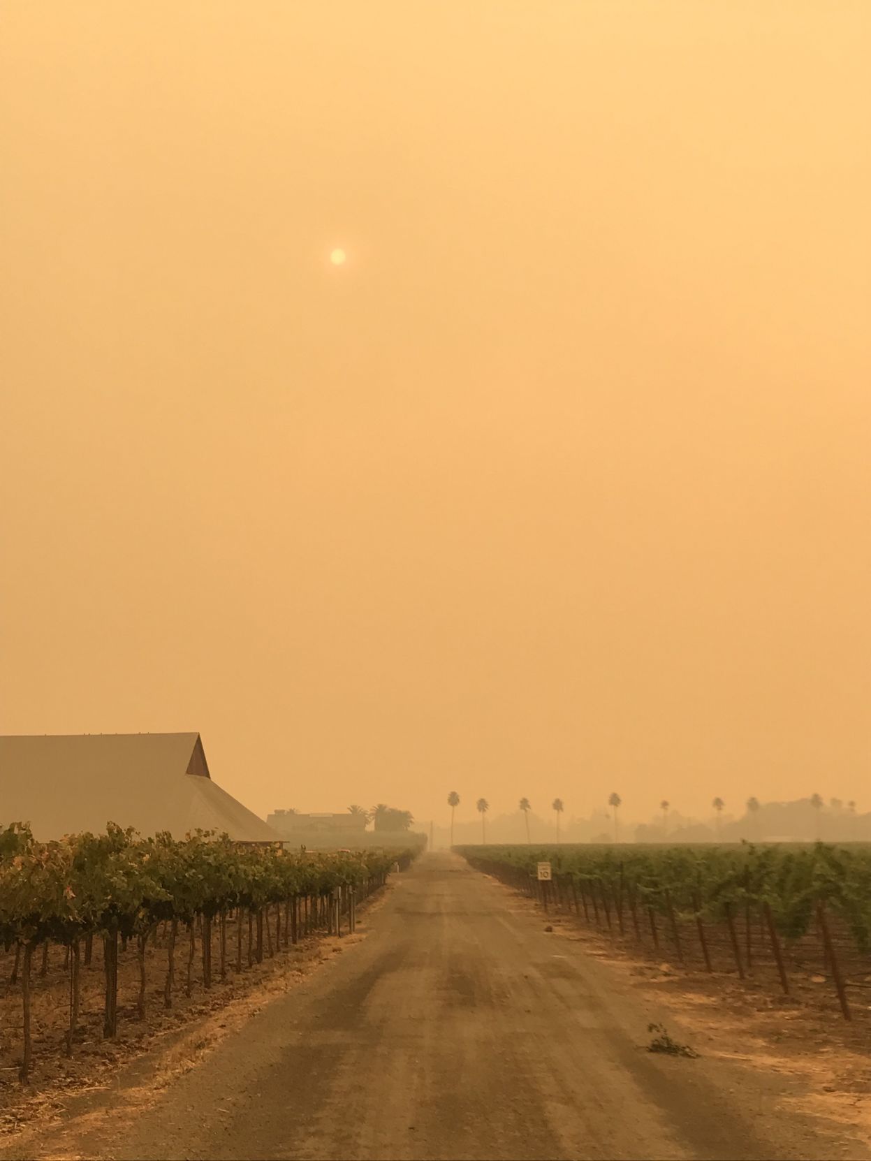 Napa County wildfires
